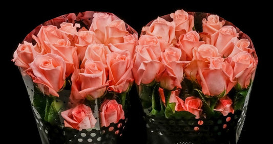 Bulk Flowers Ireland |What's In Every Box|Santa Maria Garden