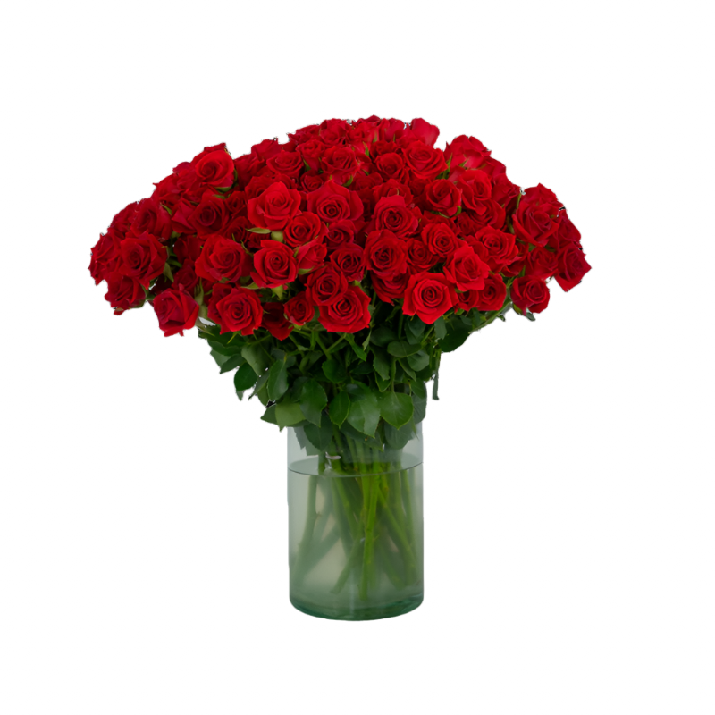 Classic Red Mikado - Santa Maria Garden
