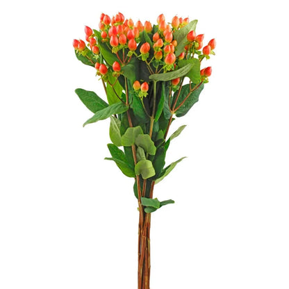 Hypericum - Pink - Santa Maria Garden