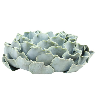 Succulents - Shaviana Truffles - Santa Maria Garden