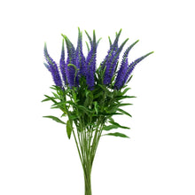 Veronica - Blue - Santa Maria Garden