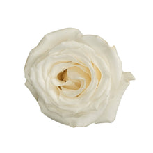 Premium White Majolika - Santa Maria Garden