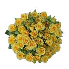 Classic Yellow Babe - Santa Maria Garden